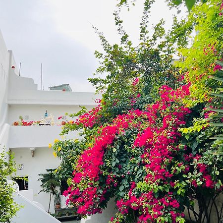 Mosaics Guest House Divisione di Divisione di Jaipur Esterno foto