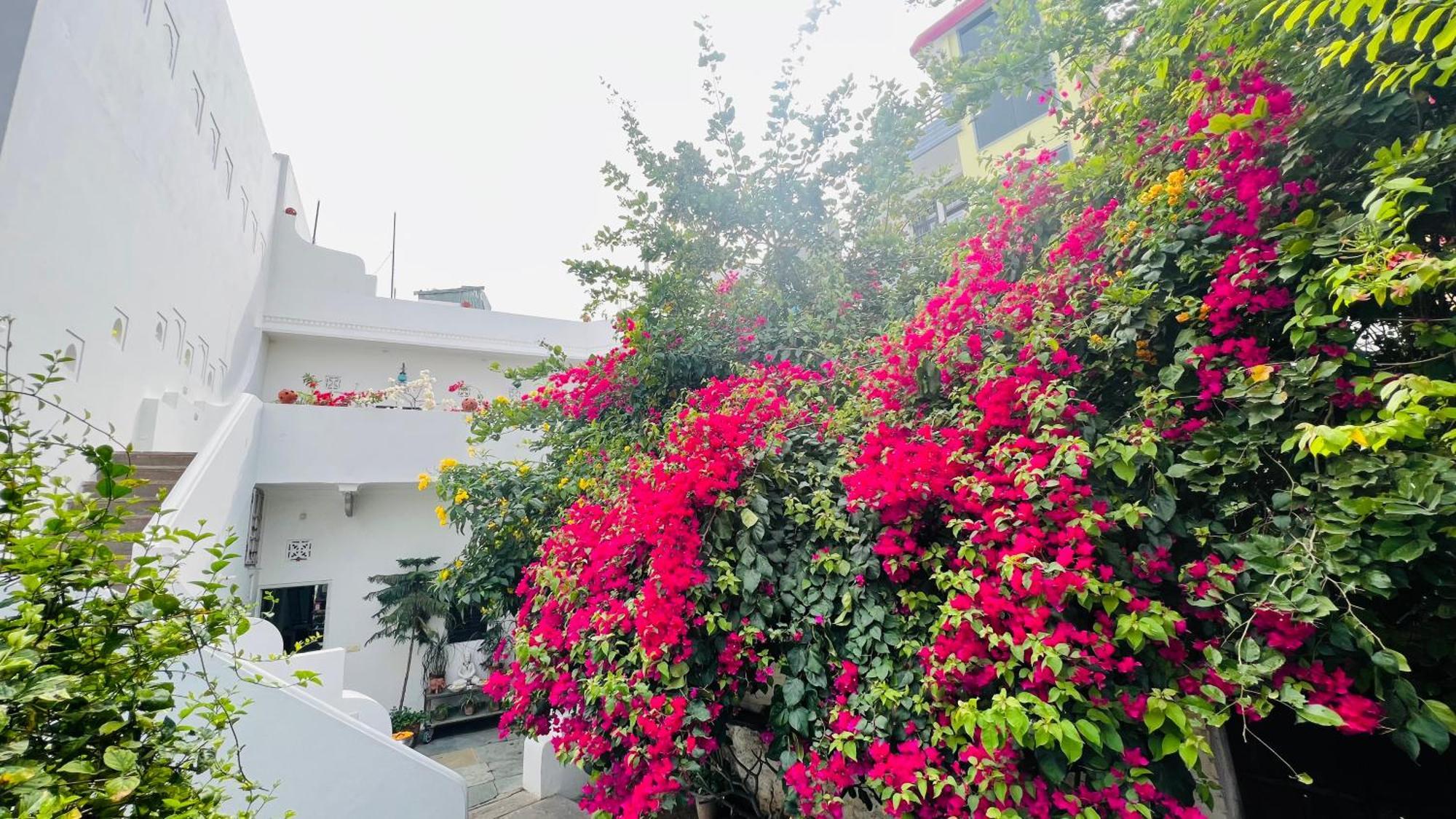 Mosaics Guest House Divisione di Divisione di Jaipur Esterno foto